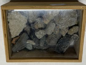 A box of mineral/rock specimens