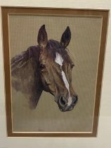 A signed watercolour portrait of a horse signed L Tindell