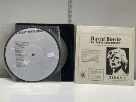 A collectable Bruce Springsteen and David Bowie Lp's