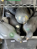 A large job lot of shooting decoys mainly plastic pigeons and selection of clays. . No shipping