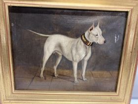 A hand painted oil on canvas depicting a bull mastiff