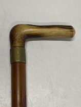 A antique wooden sword stick with bone handle, shipping unavailable