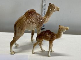 Two Beswick camel figures