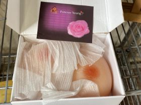 Boxed Forever Young ladies prosthetics