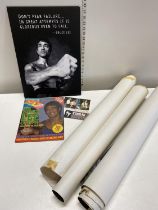 A selection of Bruce Lee posters and other items