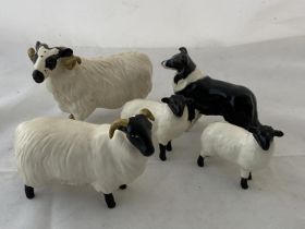 Four Beswick sheep figures and Beswick collie dog