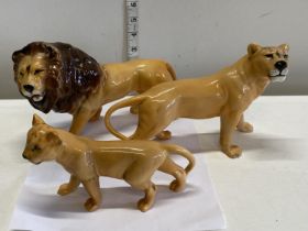 Three Beswick lion figurines