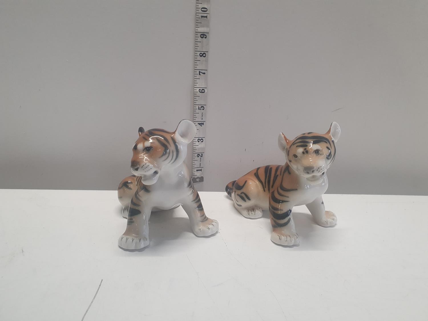 Two Lomosov tiger cubs