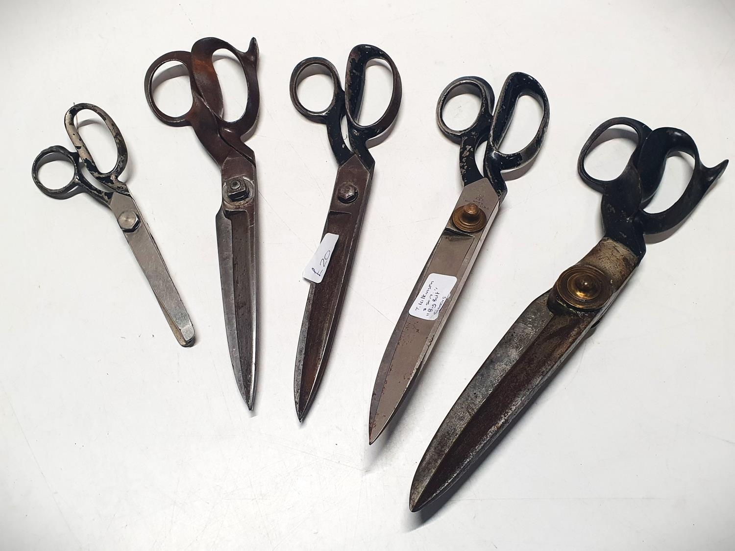 A selection seamstress scissors including Wilkinson and son "Big Bolt" Scissors