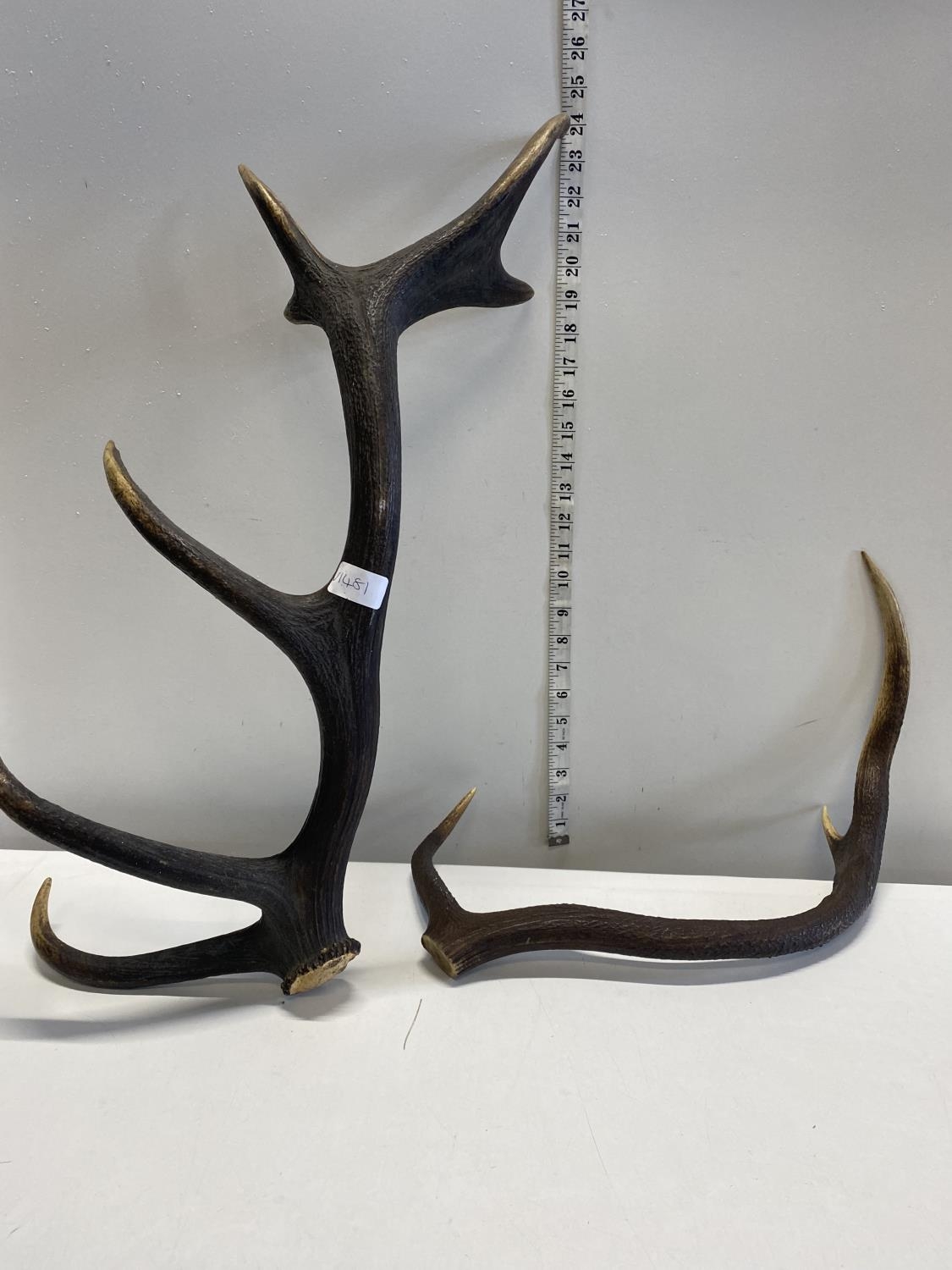 two sets of animal antlers.Shipping unavailable