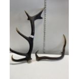 two sets of animal antlers.Shipping unavailable