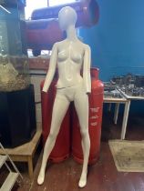 A vintage mannequin (missing hands), shipping unavailable