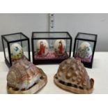 Four cased oriental painted eggs and two shells.Shipping unavailable