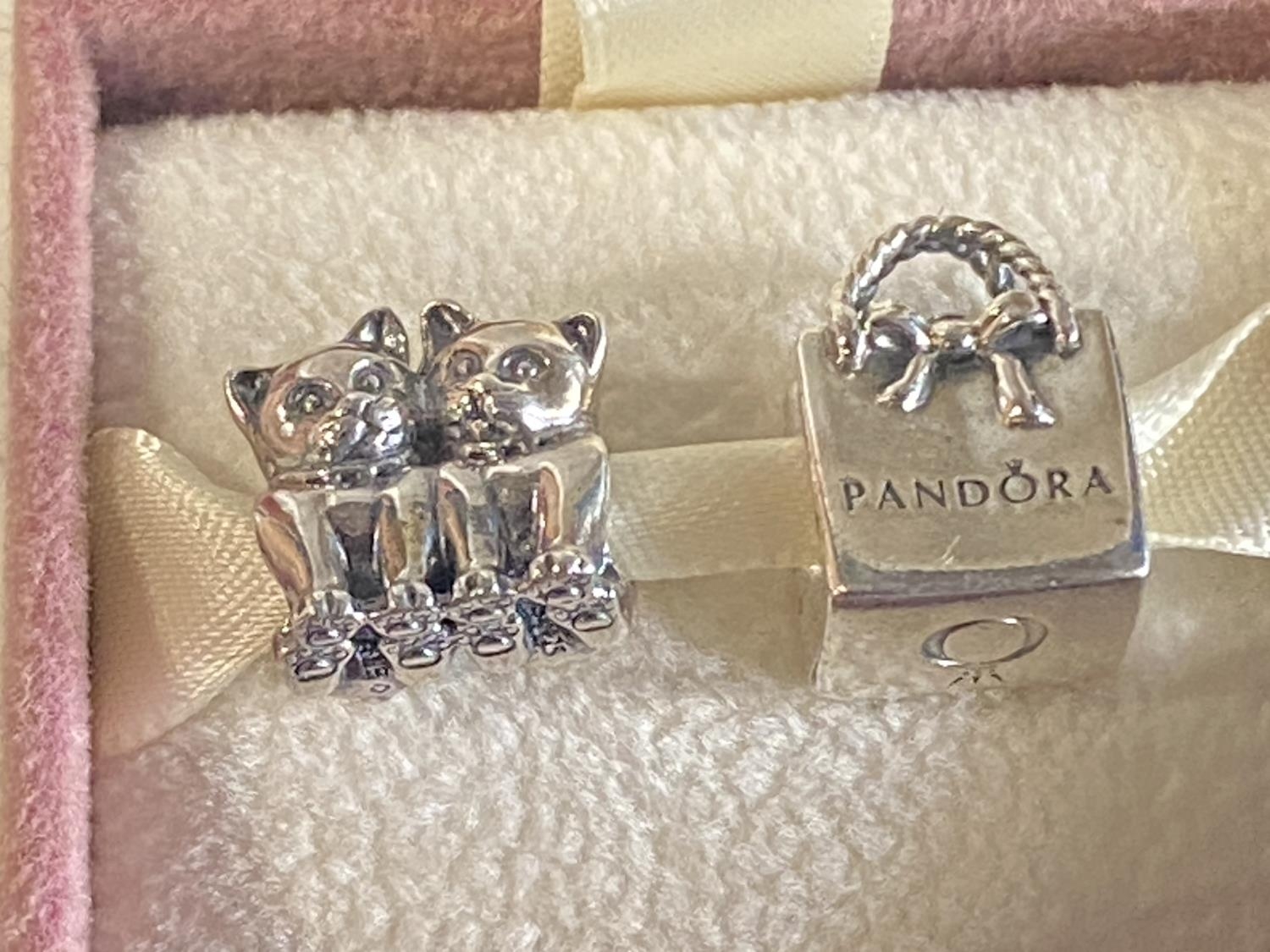 Two silver Pandora charms