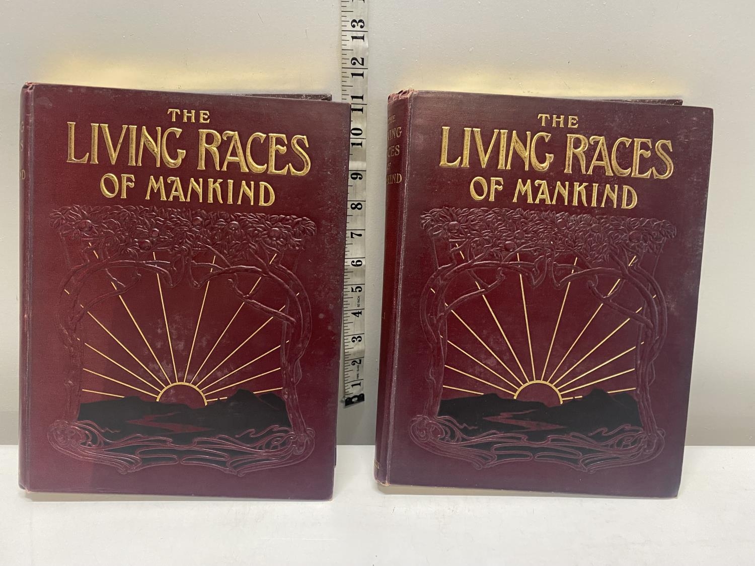 Two antique volumes of 'The Living Races of Man Kind' volumes I & II