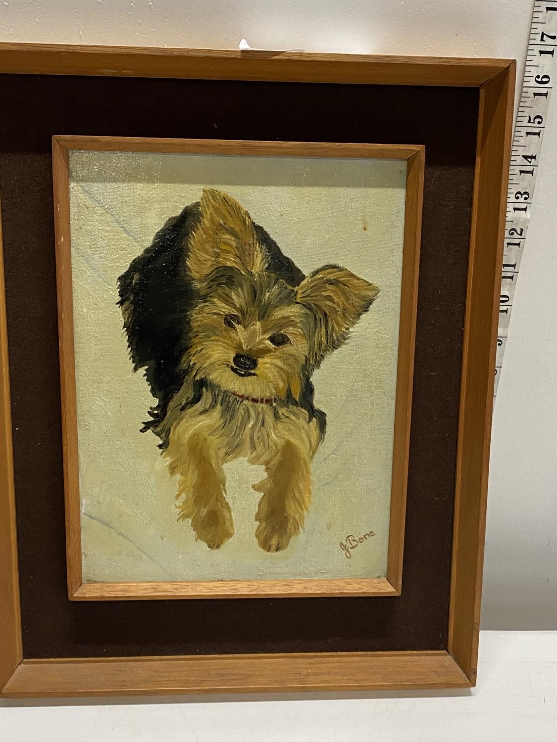 A signed framed oil on board depicting a Yorkshire Terrier 42x33cm. Shipping unavailable