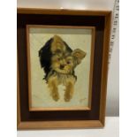 A signed framed oil on board depicting a Yorkshire Terrier 42x33cm. Shipping unavailable