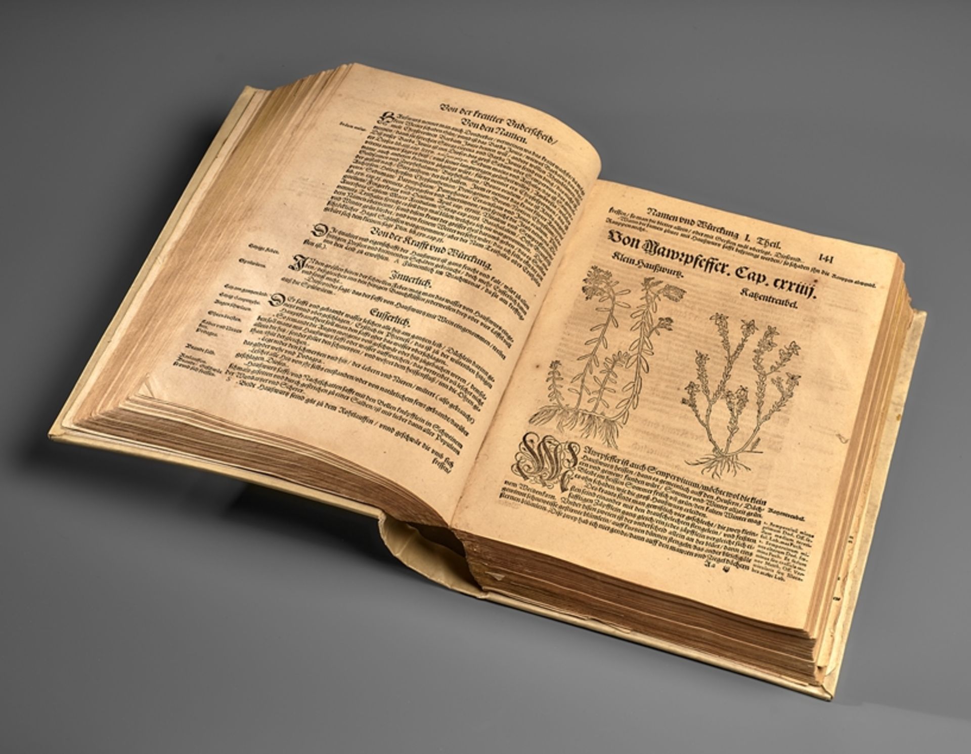 Botanik. Hieronymus Bock. Kreutterbuch darin unterscheidt Namen und Würckung der Kreutter, Stauden - Image 7 of 9