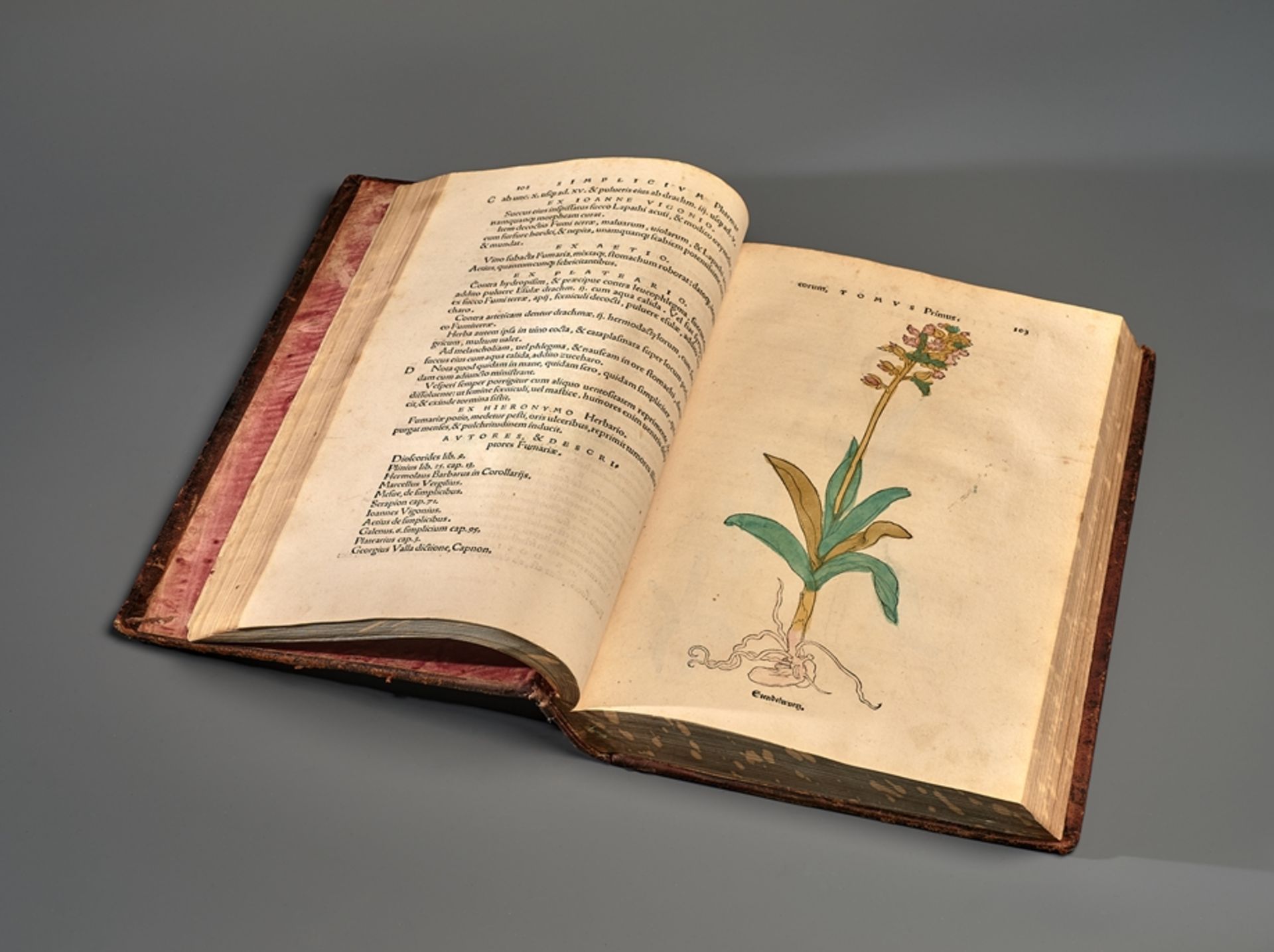 Botanik. Otto Brunfels. Herbarum vival eicones ad naturee imitationem suma com diligentia & artifi - Image 8 of 13