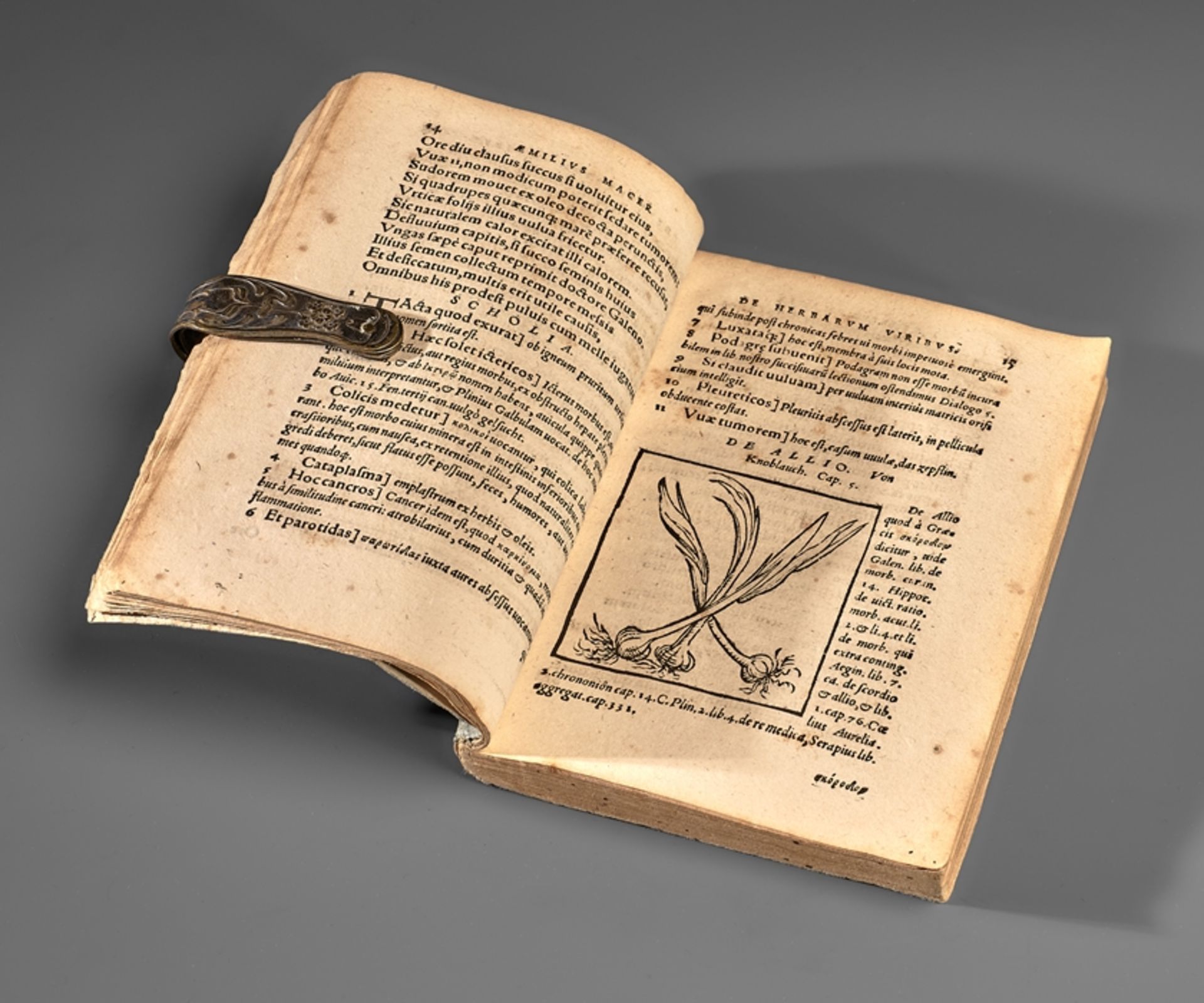 Botanik. Georg Pictorius.  De herbarum virtutibus / Aemilii Macri Veronensis elegantissima poesis,  - Bild 4 aus 4