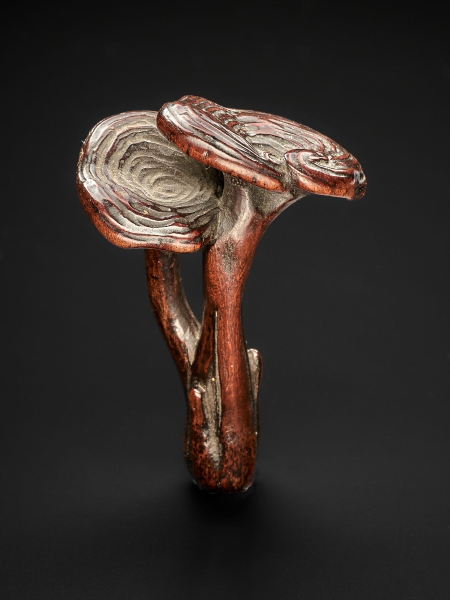 Zwei Reishi-Pilze (Medizinalpilze). Holz. 19. Jh. H 5,5 cm. Ehem. Klefisch, Köln 1978. Provenienz S