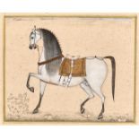 Portrait eines gesattelten Pferdes. Indo-persische Buchillustration. Aquarell. 18 x 23 cm. Gl.u.R