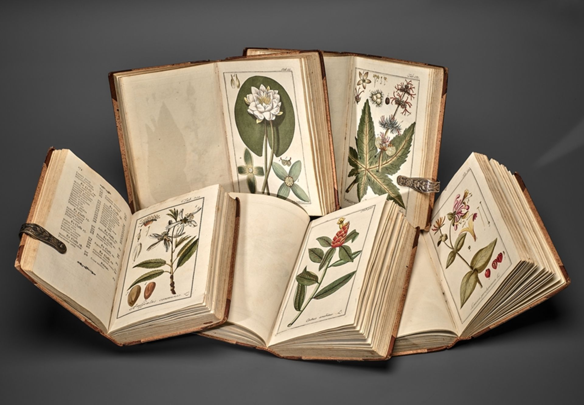 Botanik. Johannes Zorn. Icones Plantarum Medicinalium. Abbildungen von Arzneygewächsen. 5 Bde. Im e - Bild 2 aus 3