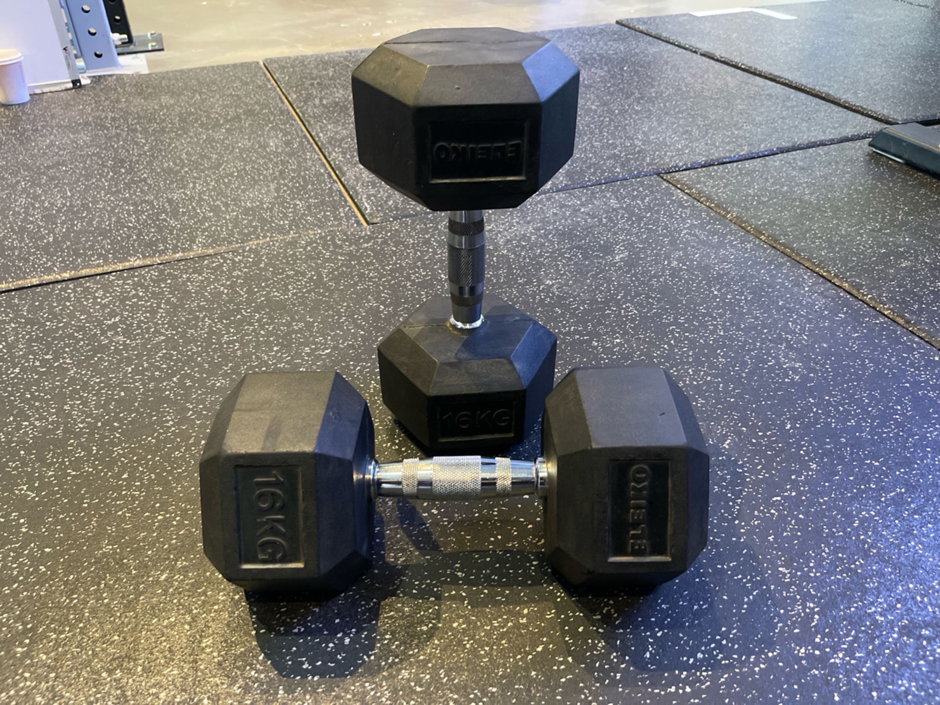 Eleiko 16kg Dumbell Pair