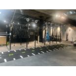 Eleiko Prestera Cross-Fit Rig