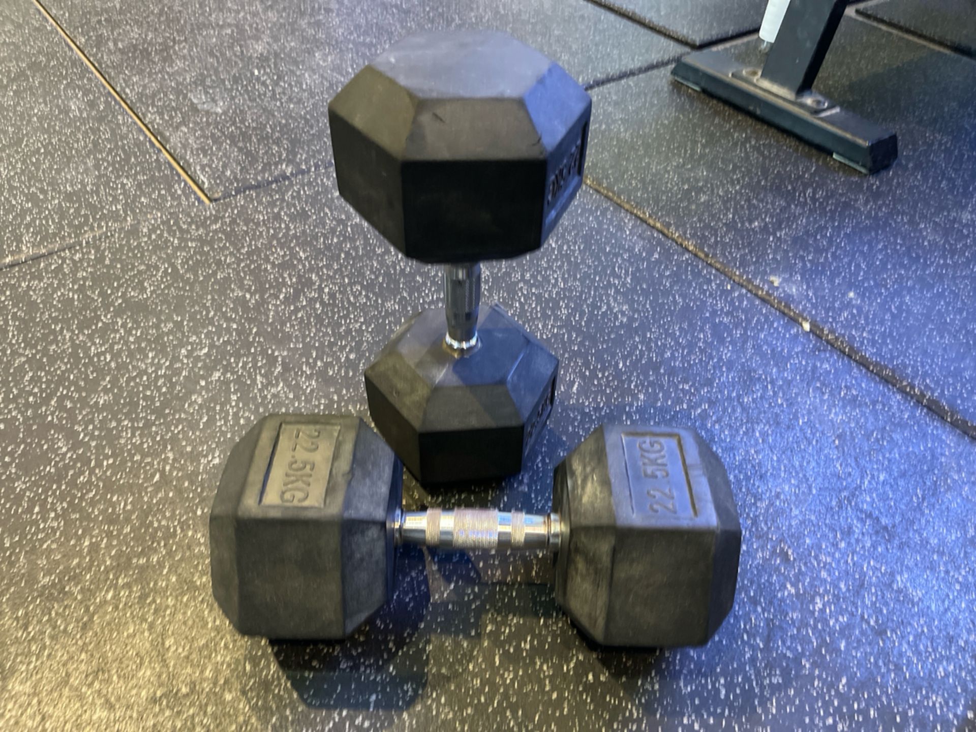 Blk Box 22.5kg Dumbell Pair