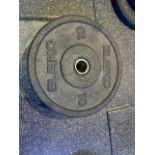 Eleiko Plates 10kg x2