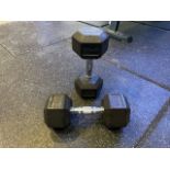 Eleiko 14kg Dumbell Pair