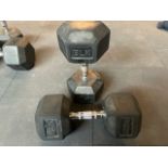 Blk Box 32.5kg Dumbell Pair