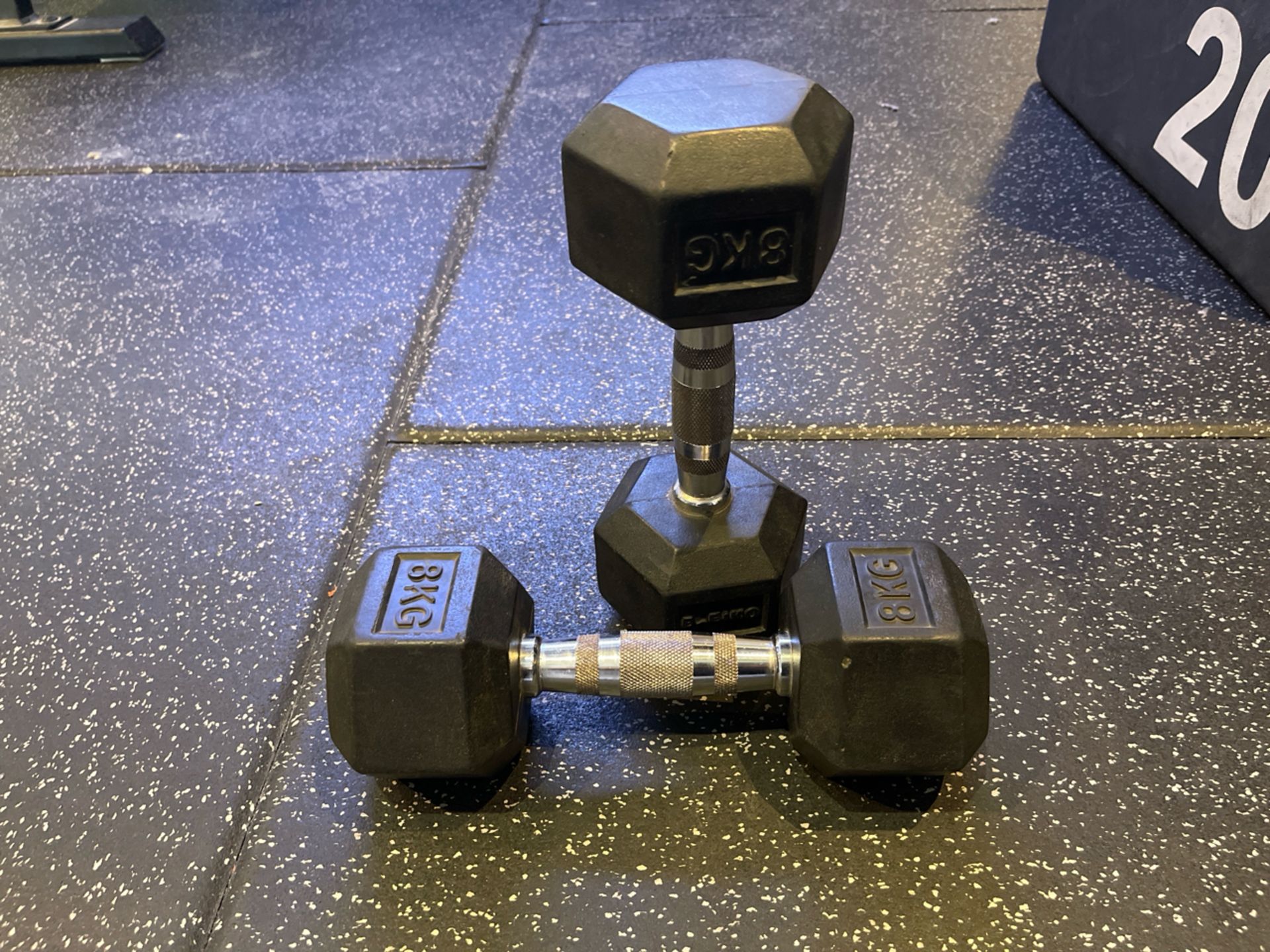 Blk Box 8kg Dumbell Pair