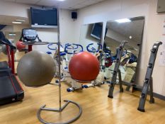 Exercise Balls x2 & Stand