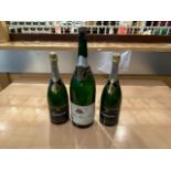 Display Champagne Bottles x3