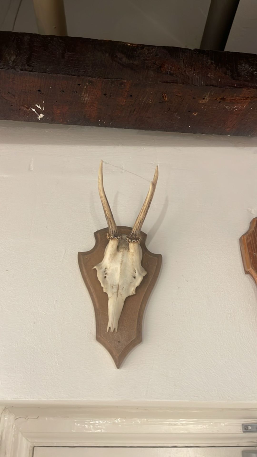 Wall Antlers - Image 2 of 5