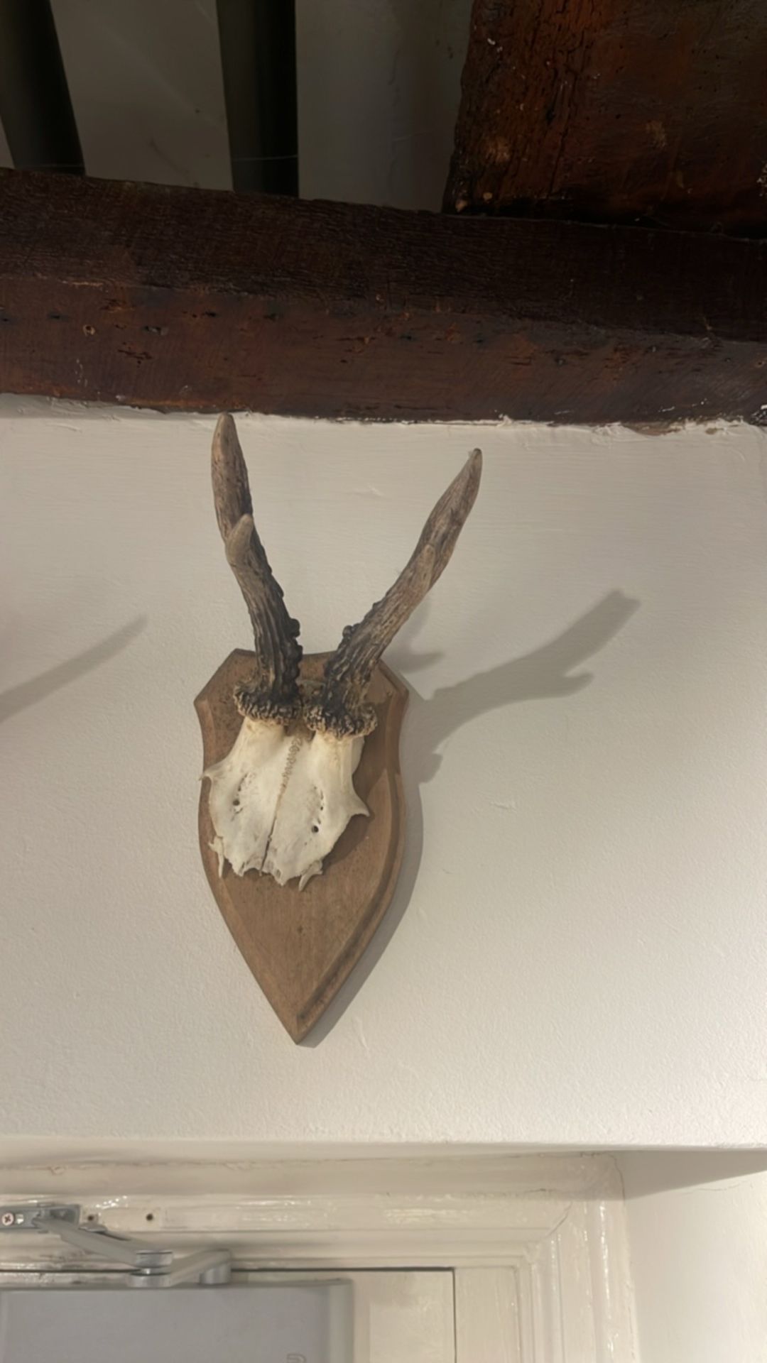 Wall Antlers - Image 4 of 5