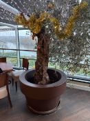Large Resin Plant Pot With Olive Tree