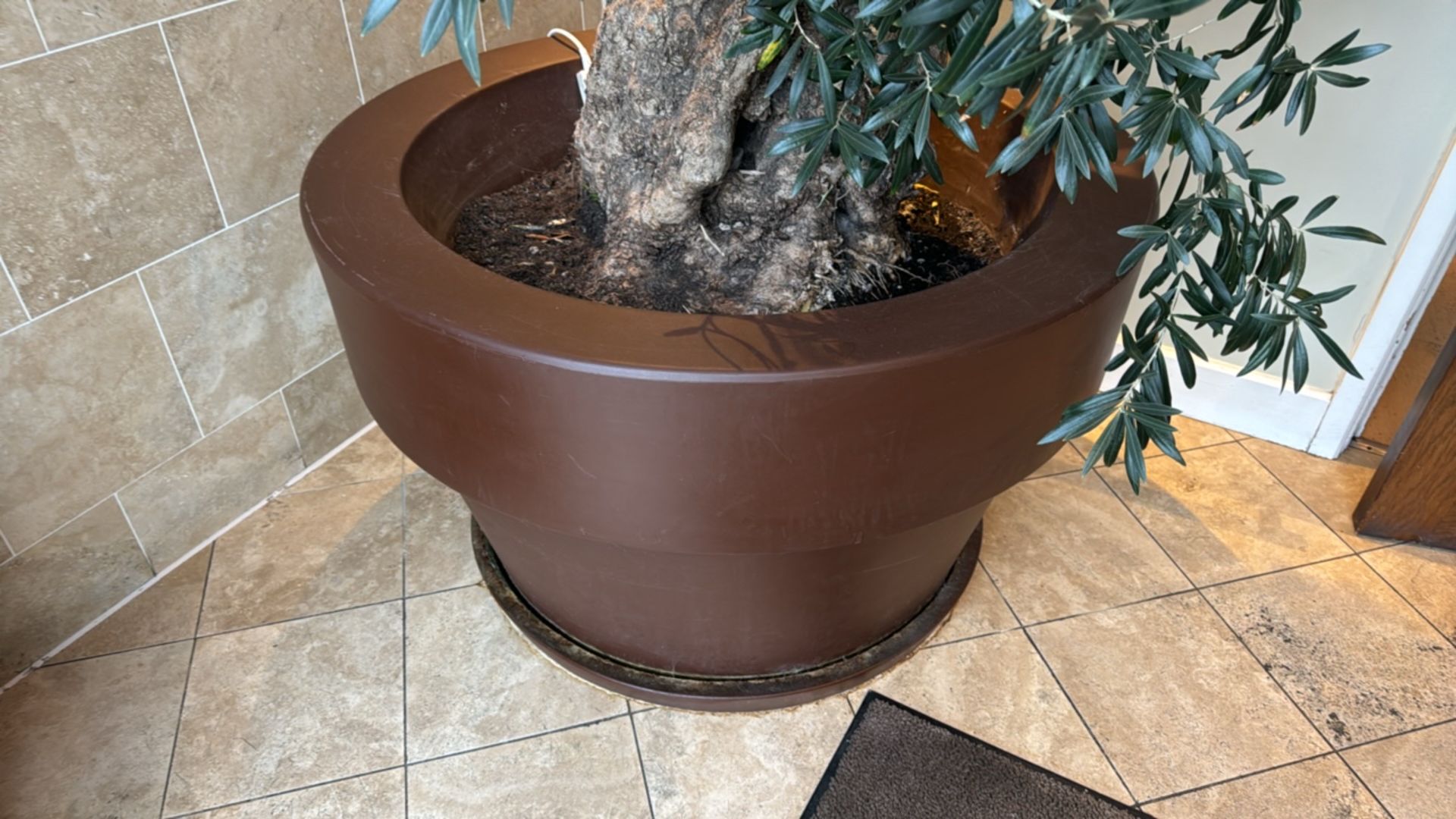 Large Resin Plant Pot With Olive Tree - Image 2 of 3