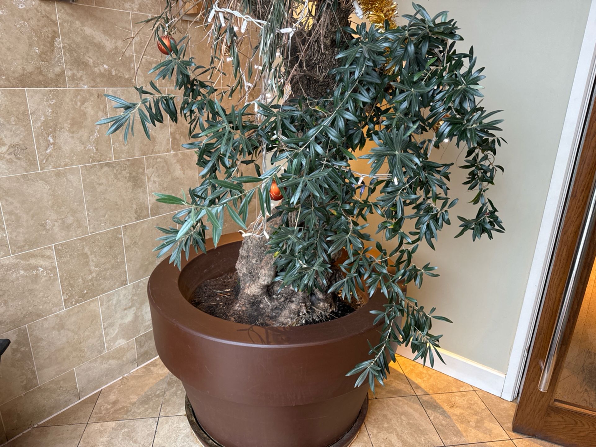 Large Resin Plant Pot With Olive Tree