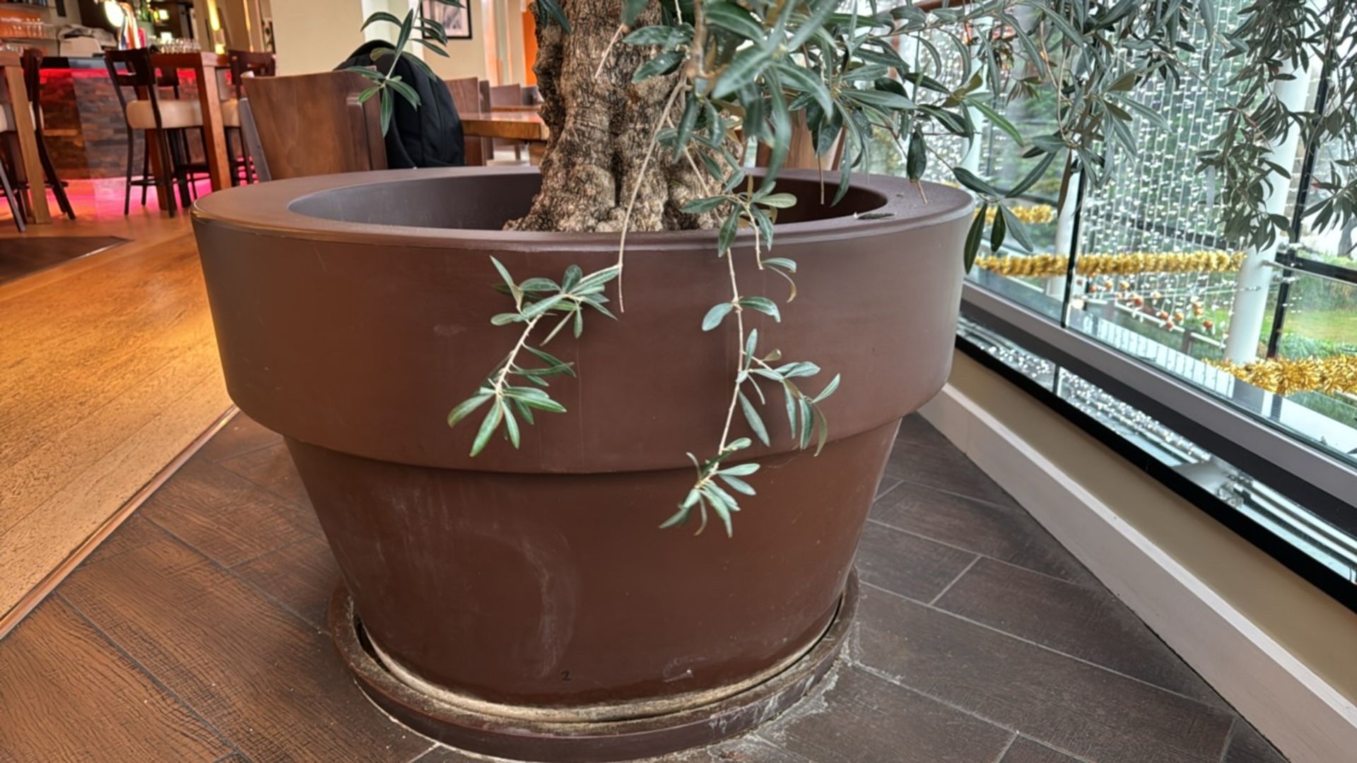 Large Resin Plant Pot With Olive Tree - Image 5 of 5