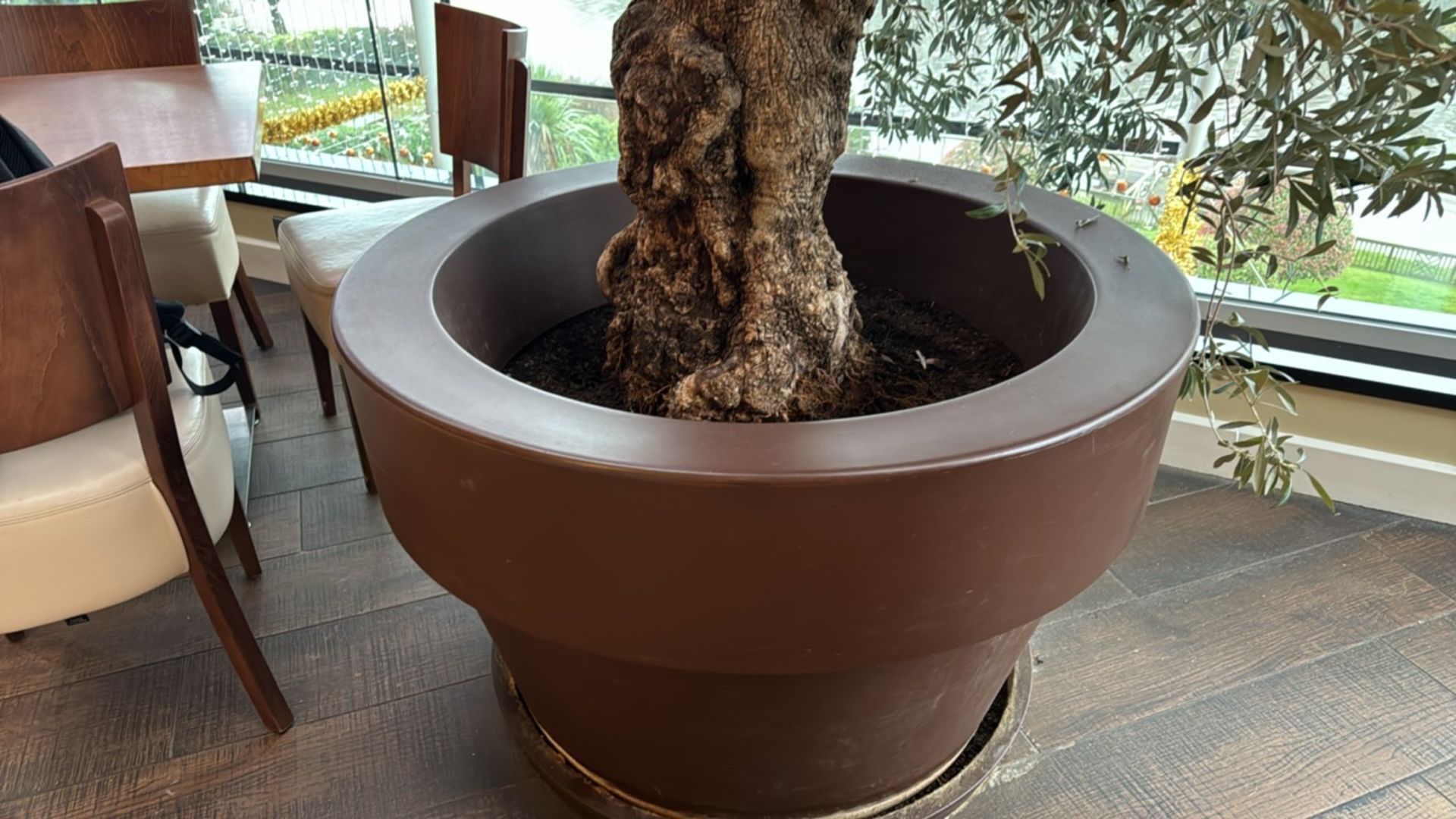 Large Resin Plant Pot With Olive Tree - Image 3 of 5