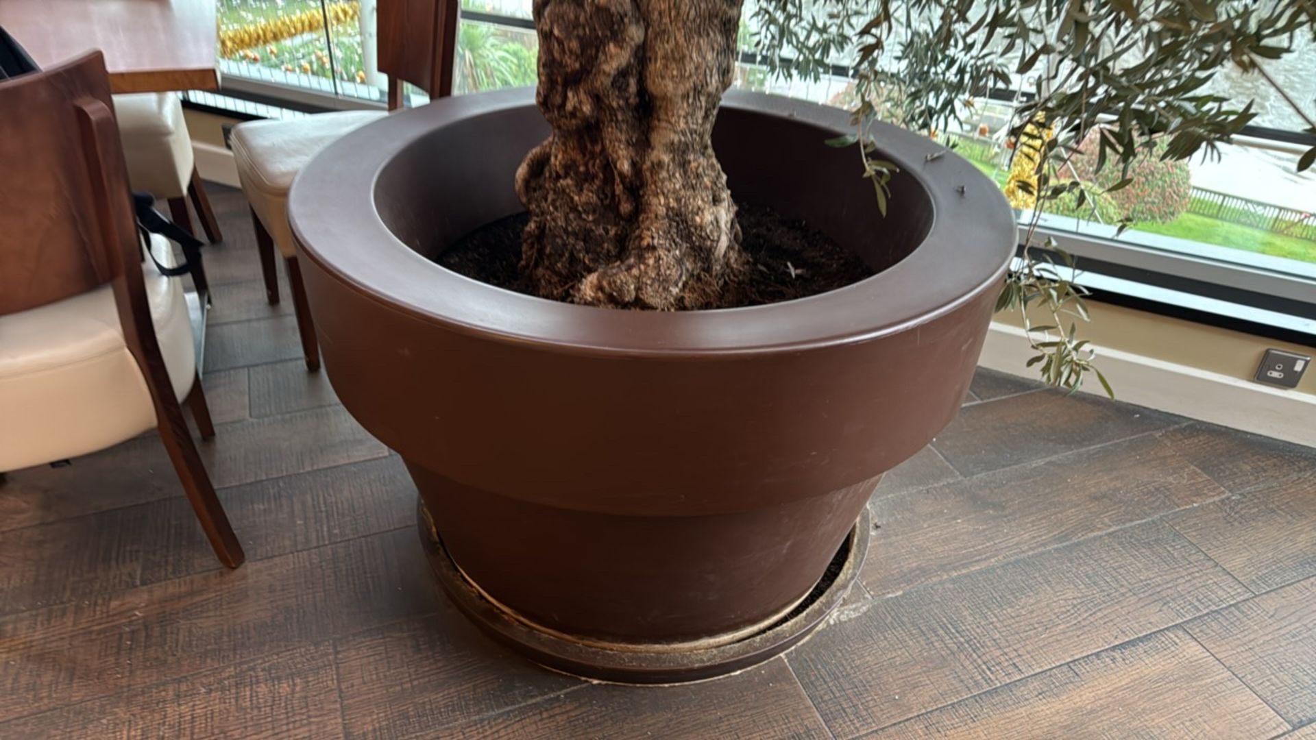 Large Resin Plant Pot With Olive Tree - Image 2 of 5