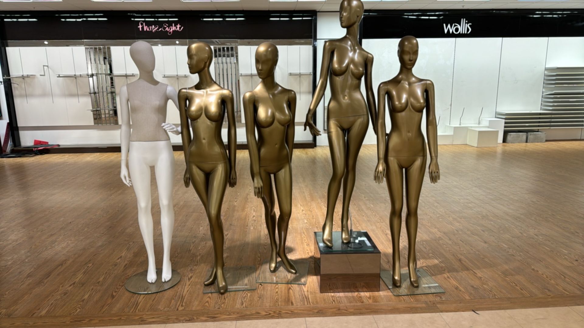 Set of 5 Female Mannequins