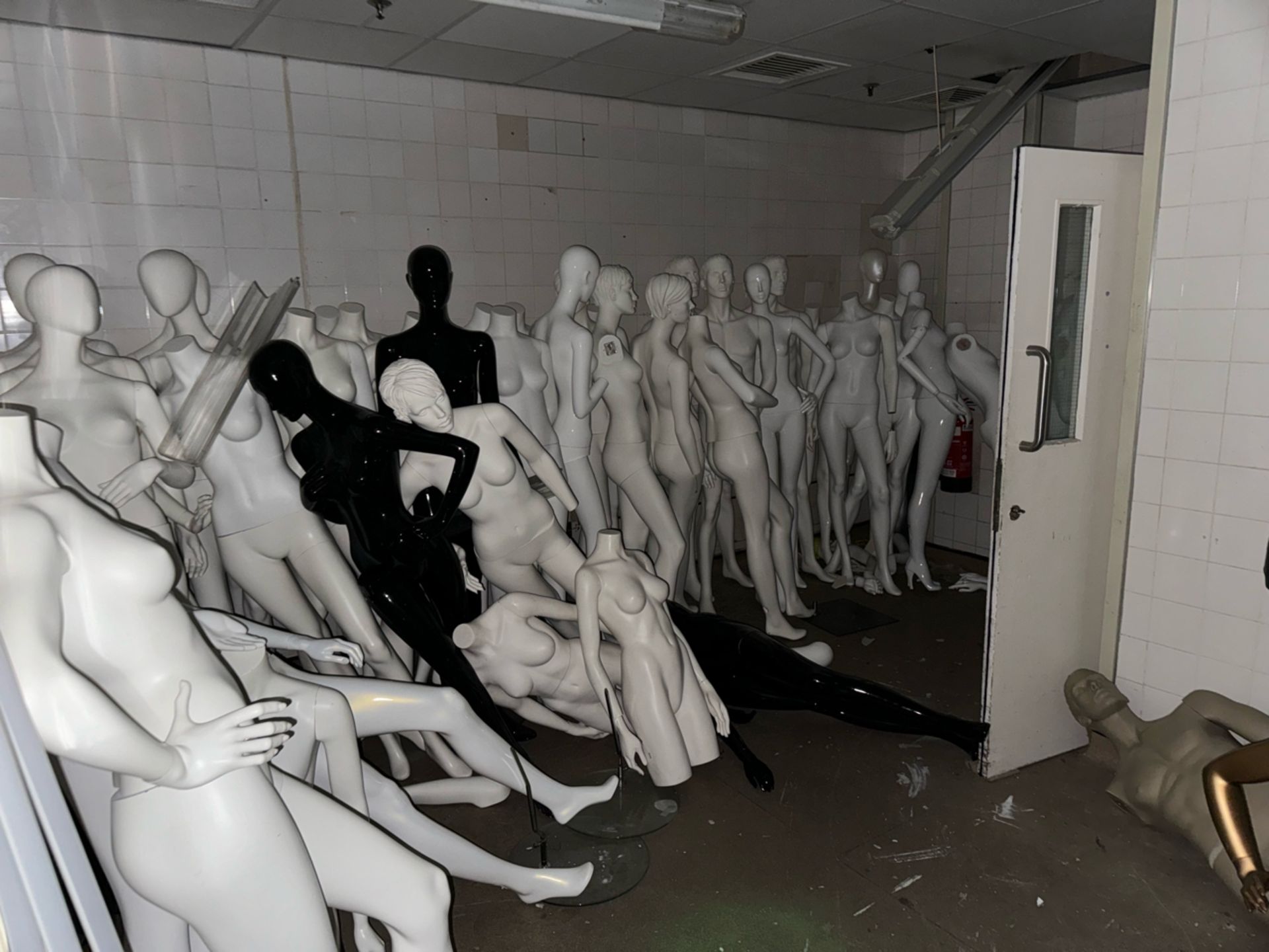 Assorted Mannequins