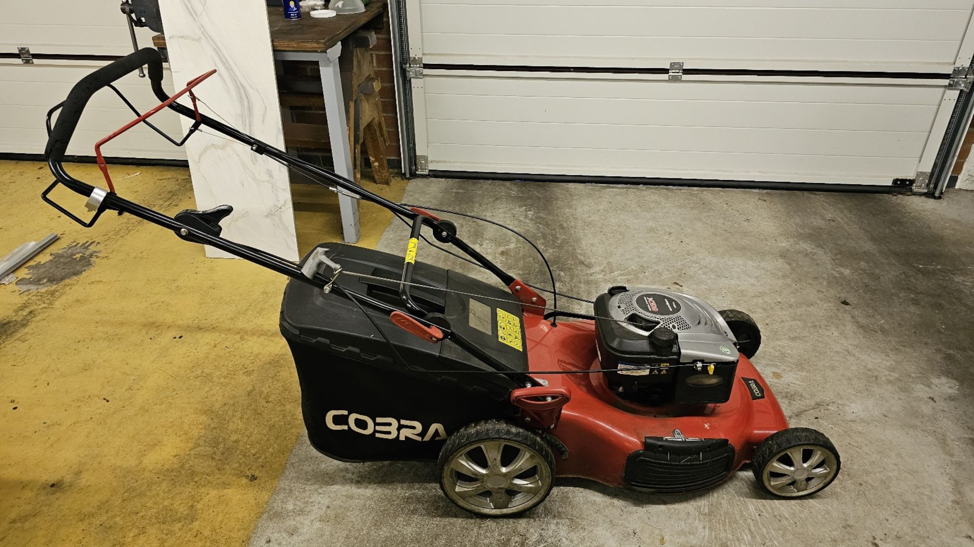 Cobra Rotary petrol grass mower 21” cut / 64” by 41”