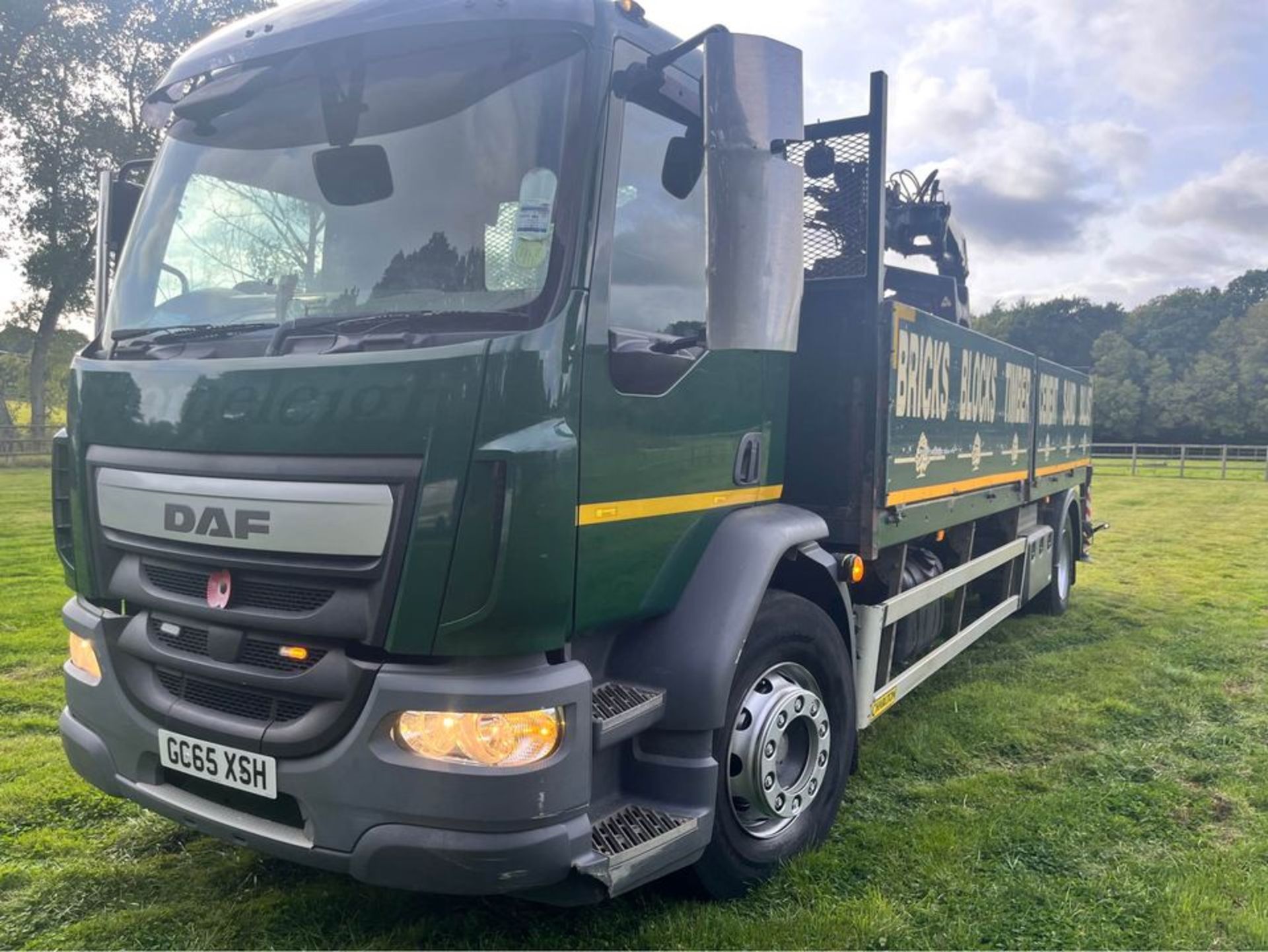 2015, DAF LF250 - Image 11 of 16