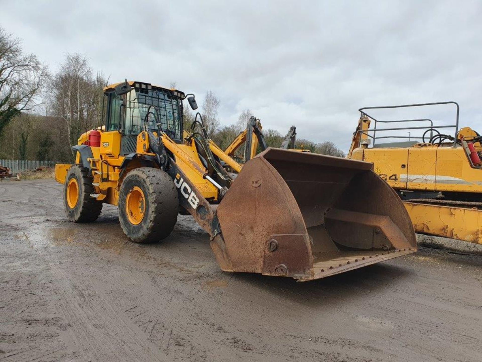 2017, JCB 437 - Loading Shovel