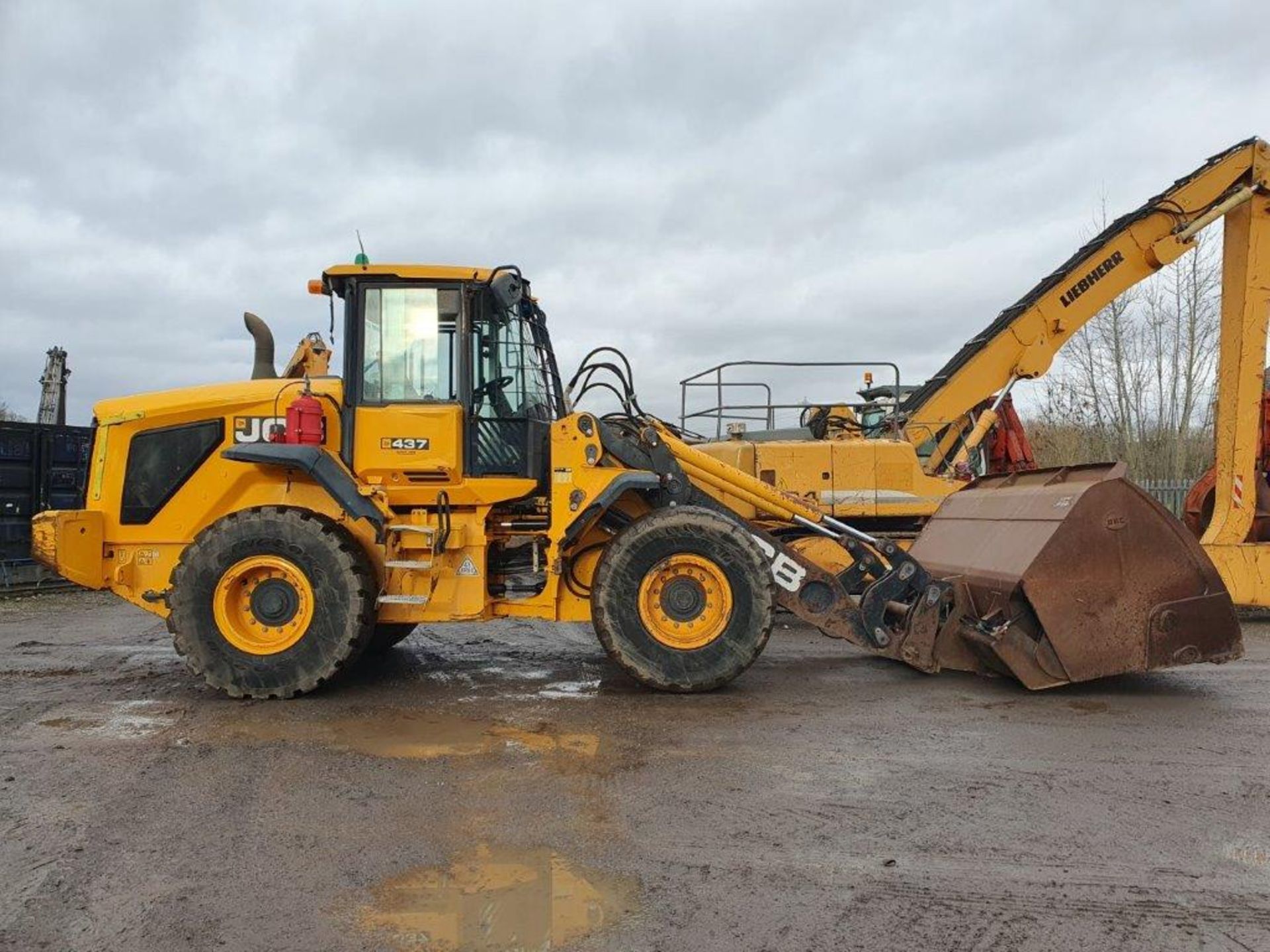 2017, JCB 437 - Loading Shovel - Image 6 of 6